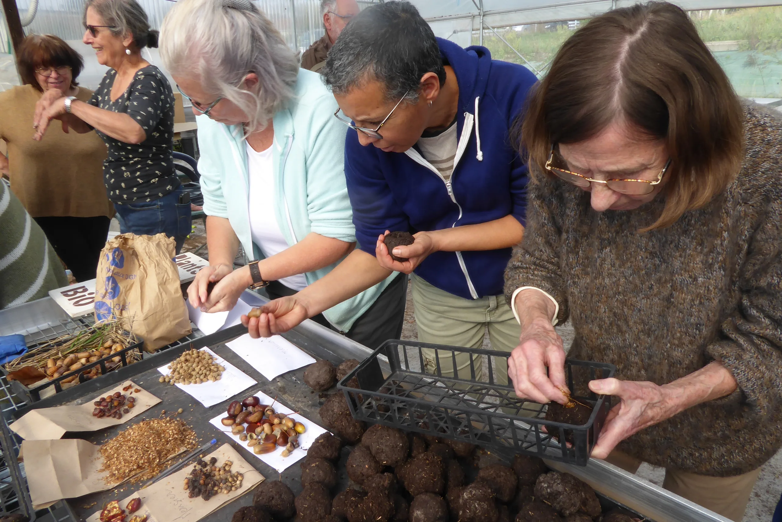 Atelier autour des graines et semences